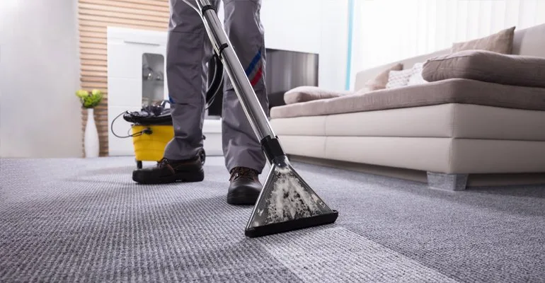 Professional carpet cleaning