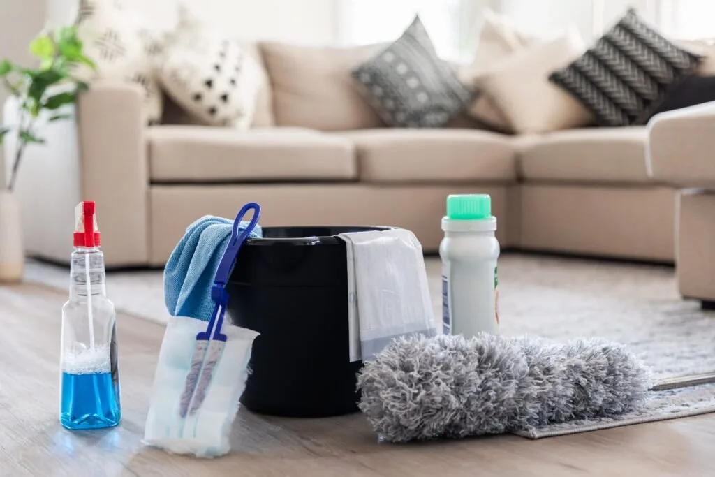 Cleaning equipment ready for detailed care of a living room